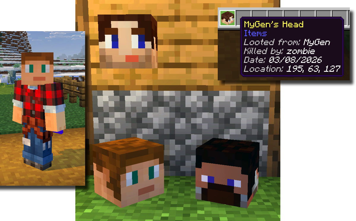 Player heads placed, worn, and in inventory